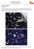 20998-14 - NWA Possible Achondrite Meteorite Porphyritic Basalt. In study. 233g