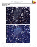 05109 - Beautiful Polished Section NWA Unclassified L-H Type Ordinary Chondrite Meteorite 23.0g