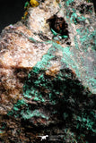 04989 -  Well Crystallized Acicular Brochantite with Quartz from South Morocco
