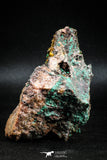 04989 -  Well Crystallized Acicular Brochantite with Quartz from South Morocco
