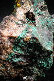 04989 -  Well Crystallized Acicular Brochantite with Quartz from South Morocco