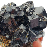 SWJ0049 - Exceedingly Rare Andradite Garnets with Tourmaline from Mexico