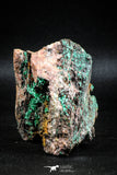 04989 -  Well Crystallized Acicular Brochantite with Quartz from South Morocco
