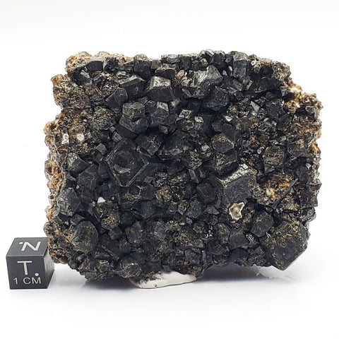 SWJ0050 - Exceedingly Rare Andradite Garnets with Sphalerite from Mexico