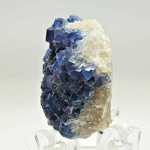 SWJ0025 - Finest Grade Blue Fluorite Crystal Cluster from Blanchard Mine (New Mexico)