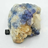 SWJ0026 - Finest Grade Blue Fluorite Crystal Cluster from Blanchard Mine (New Mexico)