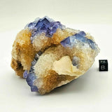 SWJ0026 - Finest Grade Blue Fluorite Crystal Cluster from Blanchard Mine (New Mexico)