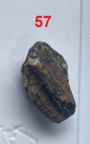Suchomimus tenerensis + Ouranosaurus nigeriensis+ Kryptos palaios + Sarcosuchus imperator Teeth Lower Cretaceous Niger Elrhaz Fm