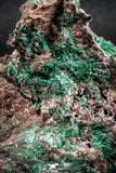 04987 -  Well Crystallized Acicular Brochantite with Quartz from South Morocco