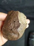 XX1 - Rare Basaltic Diabase. In study. 254g