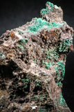 04987 -  Well Crystallized Acicular Brochantite with Quartz from South Morocco