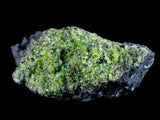 ST90 - Rare Natural Peridot (Chrysolite) Crystals Specimen On Volcanic Rock