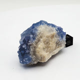 SWJ0028 - Finest Grade Blue Fluorite Crystal Cluster from Blanchard Mine (New Mexico)