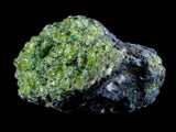 ST90 - Rare Natural Peridot (Chrysolite) Crystals Specimen On Volcanic Rock