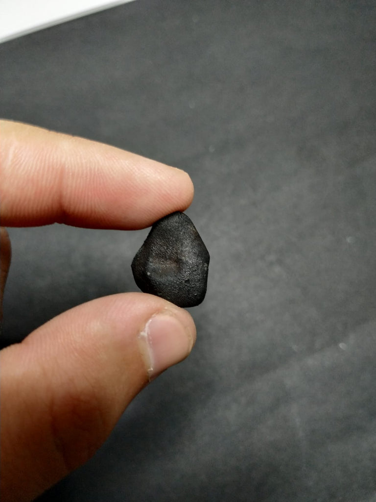 TARDA Carbonaceous Chondrite C2 Ung 3.47g Witnessed Meteorite