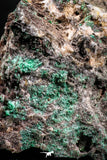04987 -  Well Crystallized Acicular Brochantite with Quartz from South Morocco