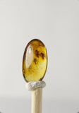 01026 - Top Quality 0.51 Inch Baltic Amber With a Triple Inclusion Of Fossil Insects (Diptera - Sciaridae Fly) + 1 Unidentified Insect