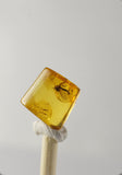 01027 - Beautiful 0.34 Inch Baltic Amber With An Inclusion Of Fossil Insect (Diptera - Sciaridae Fly)