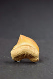 00656 - Premium Grade 0.95 Inch Squalicorax pristodontus (Crow Shark) Tooth