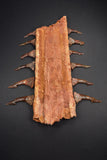 00446 - Impressive Unusual 12.2 Inch Onchopristis Rostral Bone With Barbs