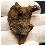 10520 - New Pallasite Meteorite "NWA 14208" (Provisional) 40.89g