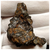 10520 - New Pallasite Meteorite "NWA 14208" (Provisional) 40.89g