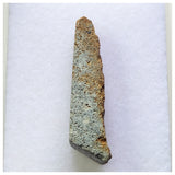 14011 A50 - New Rare "NWA 13996" EL Melt Enstatite Meteorite Thick Section 2.02g
