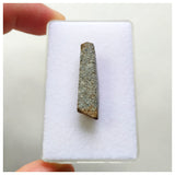 14013 A56 - New Rare "NWA 13996" EL Melt Enstatite Meteorite Thick Section 1.78g