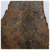 A76 - "NWA 13292" H3 Ordinary Chondrite Meteorite 52.33g Thick Crusted Slice