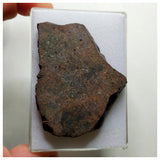 A76 - "NWA 13292" H3 Ordinary Chondrite Meteorite 52.33g Thick Crusted Slice