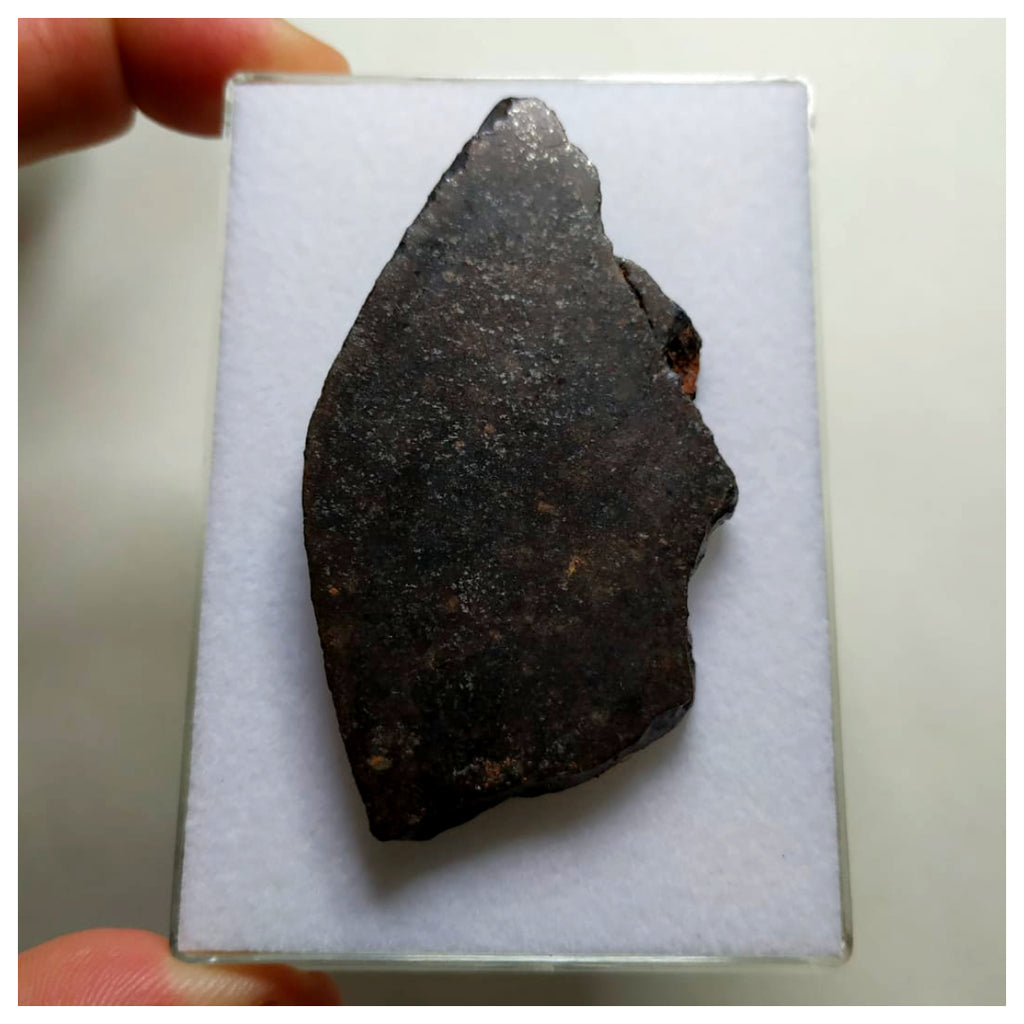 A75 - "NWA 13291" H5 Ordinary Chondrite Meteorite 35.86g Thick Crusted Slice