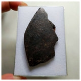 A75 - "NWA 13291" H5 Ordinary Chondrite Meteorite 35.86g Thick Crusted Slice