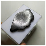 A75 - "NWA 13291" H5 Ordinary Chondrite Meteorite 35.86g Thick Crusted Slice