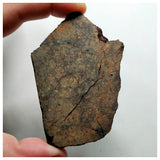 A74 - "NWA 13374" L6 Ordinary Chondrite Meteorite 96.68g Thick Slice
