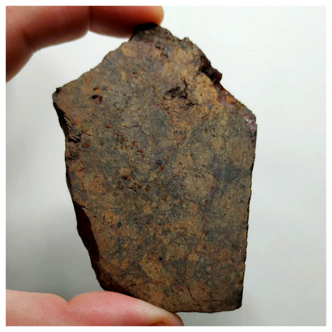 A74 - "NWA 13374" L6 Ordinary Chondrite Meteorite 96.68g Thick Slice