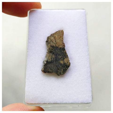 14015 A74 - Beautiful "NWA 13861" HED Meteorite Eucrite Melt Breccia 1.17g Part Slice