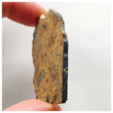 14017 A53 - Nice "NWA 13472" LL4-6 Ordinary Chondrite Meteorite 10.85g Crusted Slice