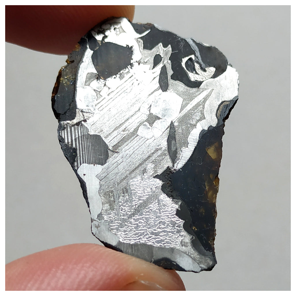 13000 A1 - New "NWA 14444" Pallasite Meteorite 6.89g Thin Etched Slice