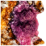 SWJ0032 - Finest Grade Pink Cobaltoan Calcite Crystals on Matrix - Bou Azzer Mine (Morocco)