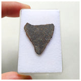 14018 A54 - Nice "NWA 13752" Ureilite Primitive Achondrite Meteorite 1.40g Thin Slice