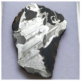 13000 A1 - New "NWA 14444" Pallasite Meteorite 6.89g Thin Etched Slice