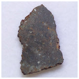 14019 A55 - Nice "NWA 13752" Ureilite Primitive Achondrite Meteorite 0.93g Thin Slice