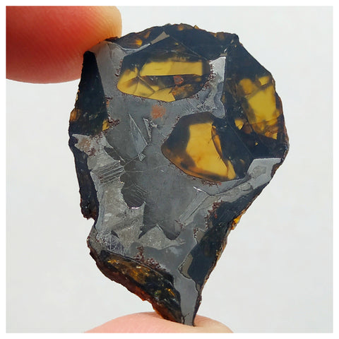 13001 A2 - New "NWA 14444" Pallasite Meteorite 6.25g Thin Etched Slice