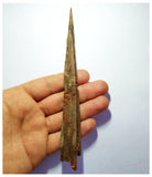 G81 - Exceedingly Rare 6.45 Inch Cretaceous Azhdarchid Pterosaur Dentary Bone