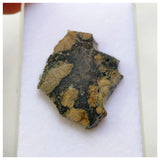 14014 A73 - Beautiful "NWA 13861" HED Meteorite Eucrite Melt Breccia 2.14g Part Slice