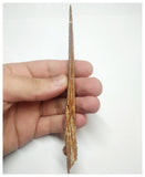 T71 - Exceedingly Rare 5.70 Inch Alanqa saharica Cretaceous Azhdarchid Pterosaur Dentary Bone