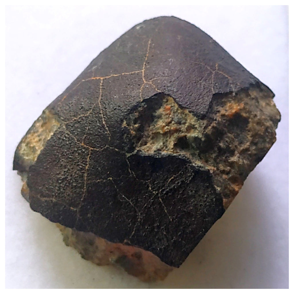 13032 A29 -  Fresh Crusted NWA 13860 LL6 Ordinary Chondrite Meteorite 10.78g MAIN MASS