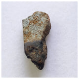 14020 A57 - New Rare "NWA 13996" EL Melt Enstatite Meteorite Thick Section 1.36g