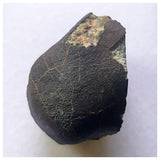 13032 A29 -  Fresh Crusted NWA 13860 LL6 Ordinary Chondrite Meteorite 10.78g MAIN MASS
