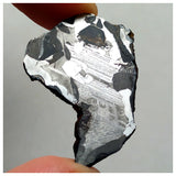 13002 A3 - New "NWA 14444" Pallasite Meteorite 7.22g Thin Etched Slice